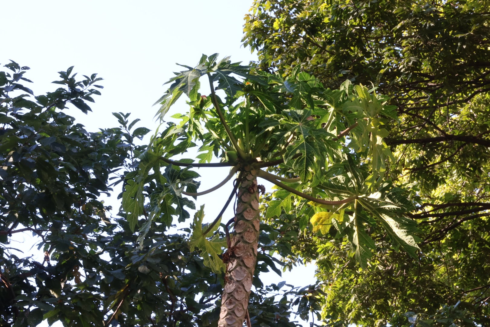 Living in an answered prayer 